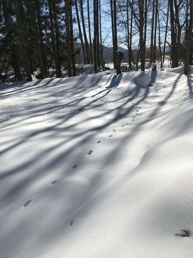 Hakuba Cottage Gram Eksteriør bilde
