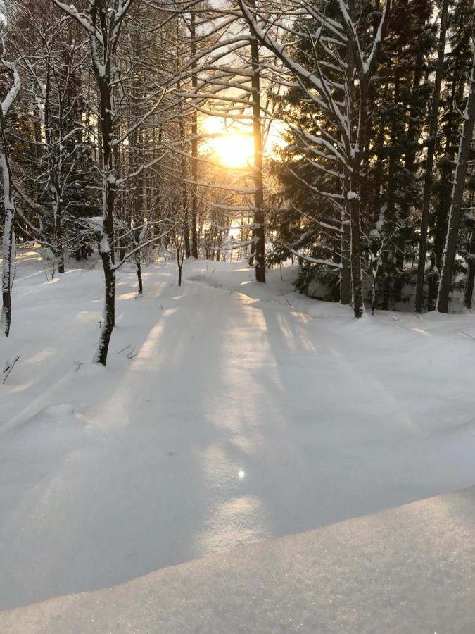 Hakuba Cottage Gram Eksteriør bilde