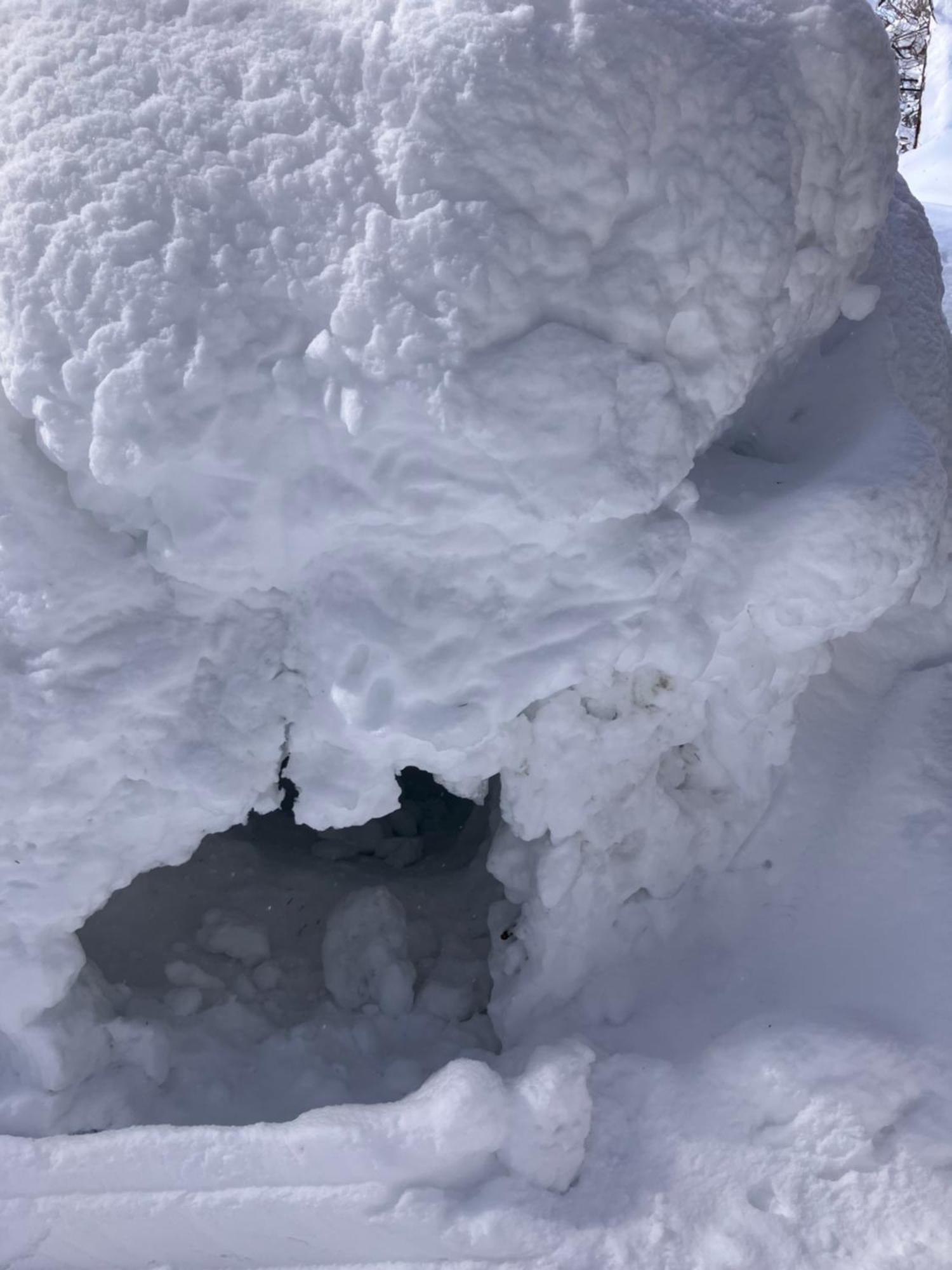 Hakuba Cottage Gram Eksteriør bilde