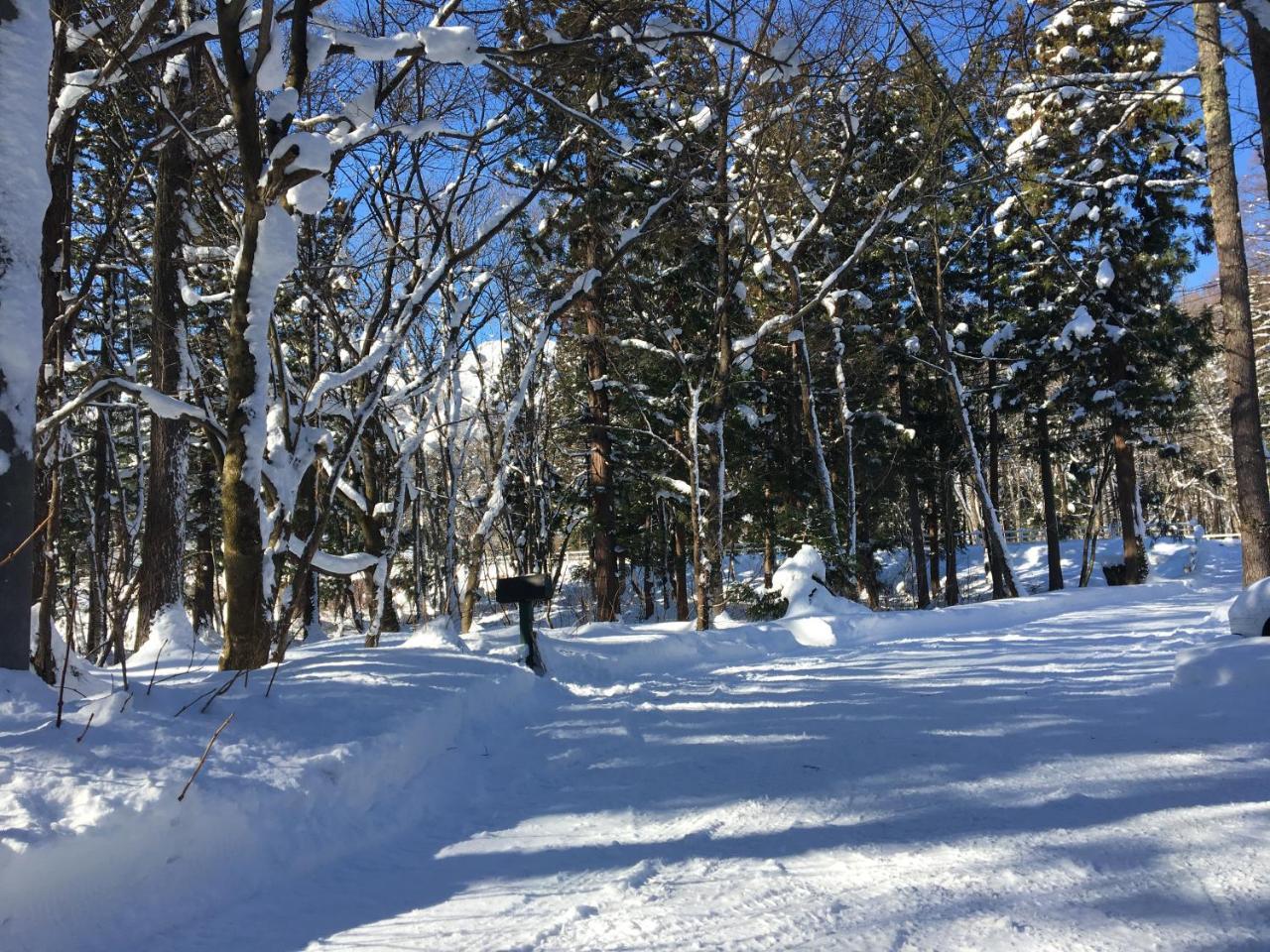 Hakuba Cottage Gram Eksteriør bilde