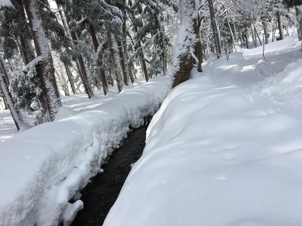 Hakuba Cottage Gram Eksteriør bilde