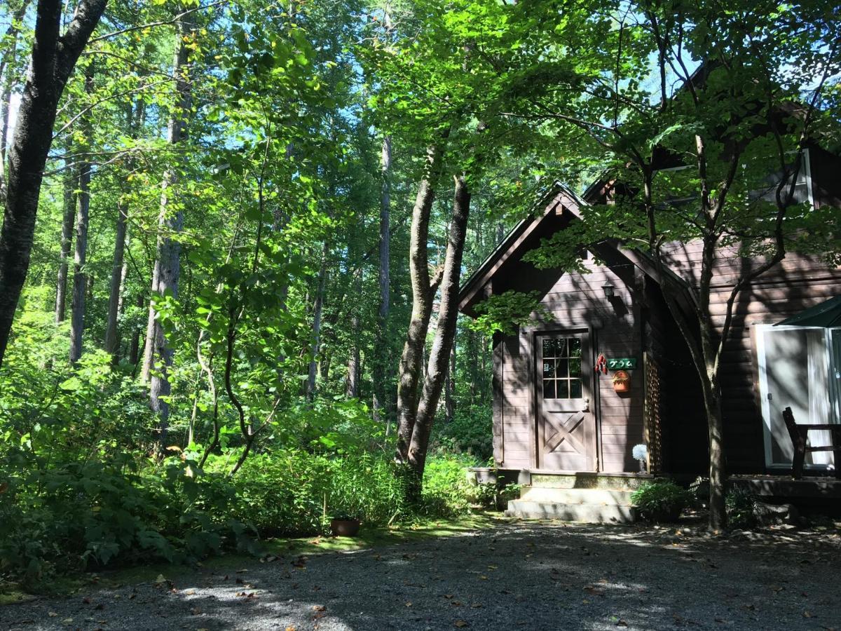 Hakuba Cottage Gram Eksteriør bilde