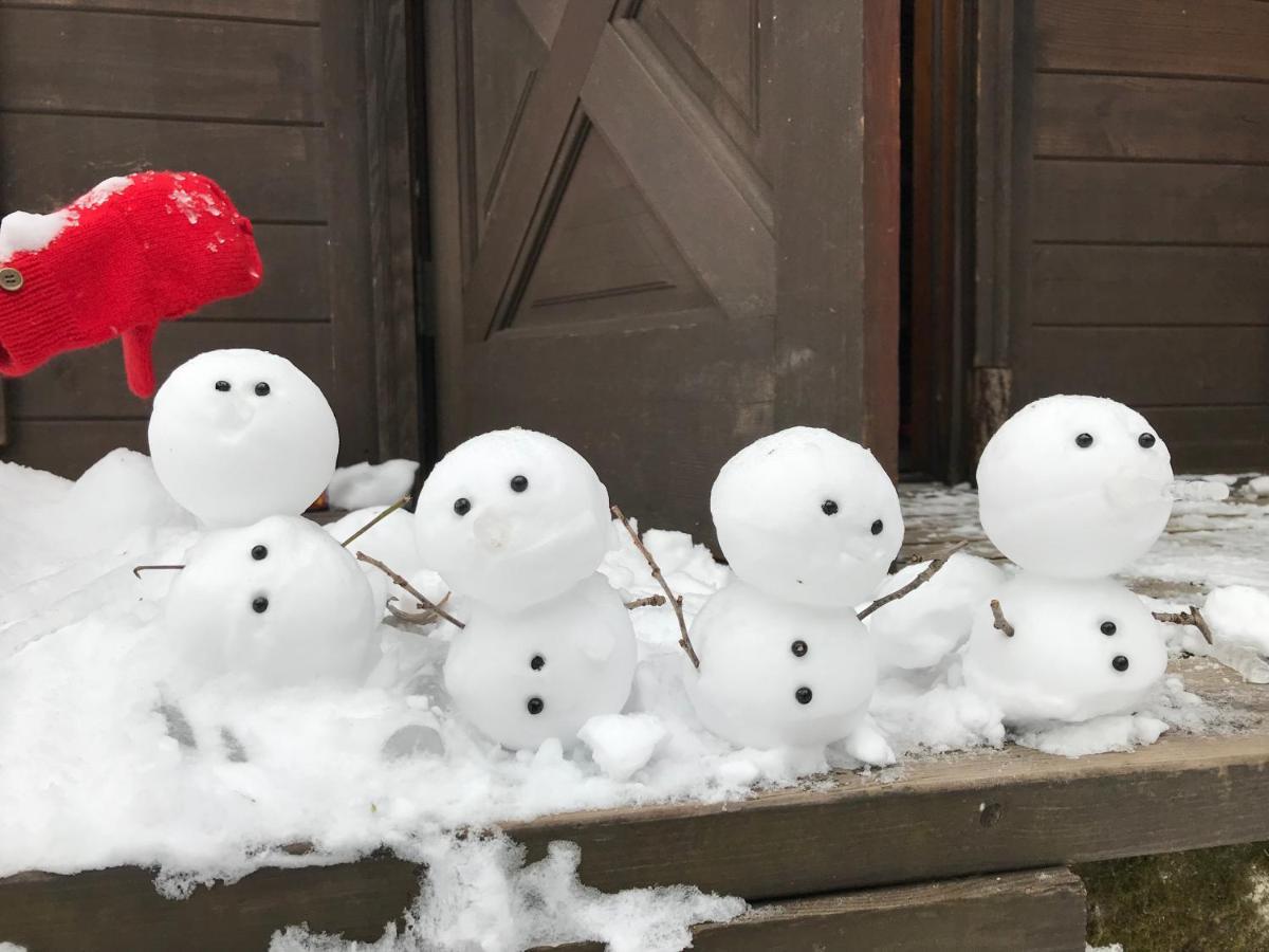 Hakuba Cottage Gram Eksteriør bilde